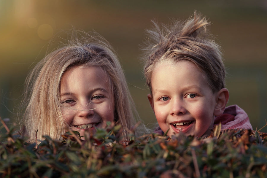 Prenuptial Agreements Will Protect Your Children